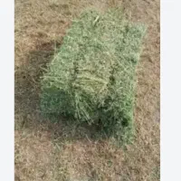 فروش یونجه