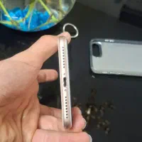 ایفون ۸ پلاس|موبایل|فولادشهر, C4|دیوار