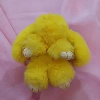 فروش فوری تعدادی عروسک|اسباب‌‌بازی|تنکابن, |دیوار