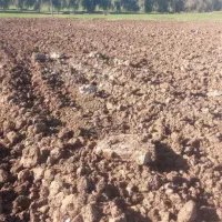 اجاره زمین کشاورزی