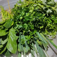 پاک کردن سبزی
