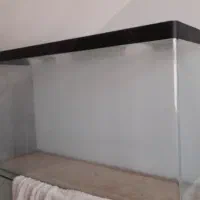 آکواریوم|ماهی|کرمان, |دیوار