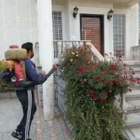 سمپاشی|خدمات باغبانی و درختکاری|کلاردشت, |دیوار