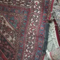 فرش دستبافت ۹ متری|فرش|همدان, |دیوار