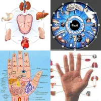 زبانشناسی  چهره و کف شناسی