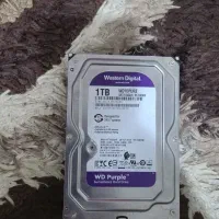 هارد یک ترابایت وسترن بنفش