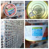 تن بوقلمون تن مکنزی آتنا سندس رویال نگین