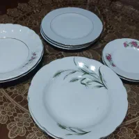 ظروف مصرفی