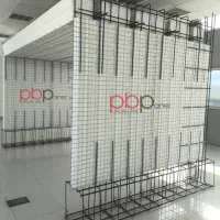 سرمایه گذار خانوم