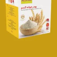 پودرجوانه گندم