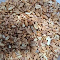 ضایعات.خوراک دام