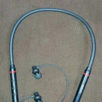 ارپاد گردنی