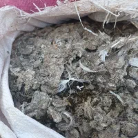 کود کبوتر|گل و گیاه طبیعی|تاکستان, |دیوار