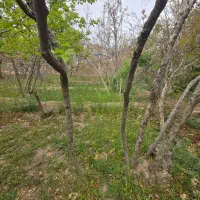 باغ تفت خیابان طالقانی (سرده احمدآباد)