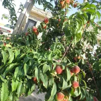 منزل ویلایی 140 متری