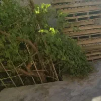 زمین-فروشی-امیر-آباد-فلکه-رستم