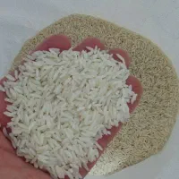 برنج|خوردنی و آشامیدنی|مشهد, سجادیه|دیوار