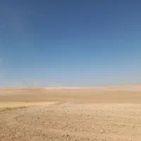 اجاره زمین کشاورزی دیم نخود