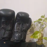 دستکش بوکس حرفه ای SPAR BAR|تجهیزات ورزشی|رشت, منظریه|دیوار