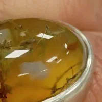 کهربا اصل و کمیاب مصور کلکسیونی