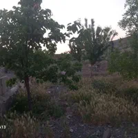 باغ ۸۷۰متری درکاهوفروشی|فروش خانه و ویلا|مشهد, شهرک رازی (شهرک غرب)|دیوار
