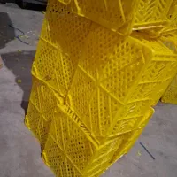 نیروی کار