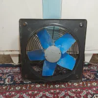 فن ۵۰×۵۰