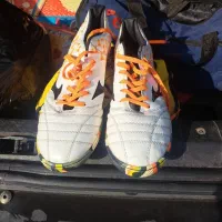 کتونی سالنی