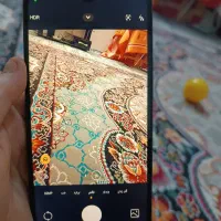 گوشی|موبایل|مشهد, نوده|دیوار