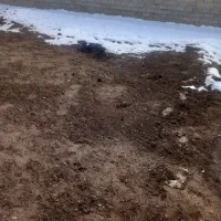 قطعه-زمین-570-متری-کشاورزی