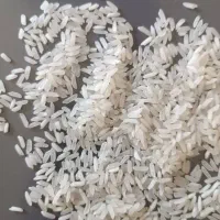 برنج پاکستانی|خوردنی و آشامیدنی|تبریز, |دیوار