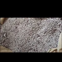 سلام ۳۰۰کیلو لوبیا چیتی به فروش می‌رسد