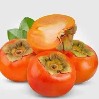 ارسال نهال خرمالو تاباتا با کیفیت بالا