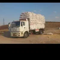 کاه‌‌دیم‌گندم‌درجه‌یک