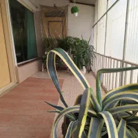 سویت دربستی،اول شهر ساری|اجارهٔ کوتاهمدت آپارتمان و سوئیت|ساری, |دیوار