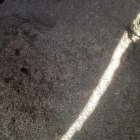 فروش یک تن یونجه