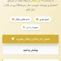 طراحی سایت * سئو .ترب .دیجیکالا * فروشگاهی با ۷م|خدمات رایانهای و موبایل|مشهد, آزادشهر|دیوار