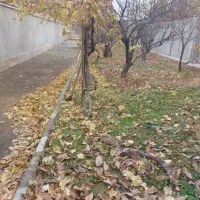 ویلا-افشاریه