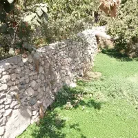 استخدام نیرو جهت کافه