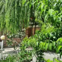 تهران دشت ابتدای جاده آران کنار رودخانه کوچه آریا|فروش زمین و ملک کلنگی|هشتگرد, تهران دشت|دیوار
