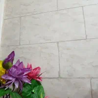 اجاره-اپارتمان