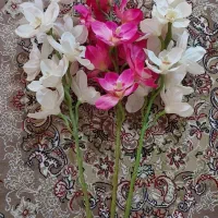 پایه گل|گل مصنوعی|تویسرکان, |دیوار