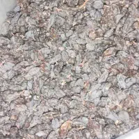 انواع و اقسام مویز بدون واسطه|خوردنی و آشامیدنی|شیراز, میانرود|دیوار