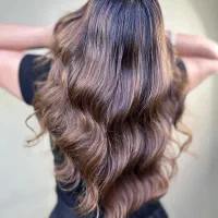 استخدام ادمین