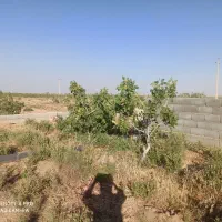 فروش-دوپلاک-باغ-پسته