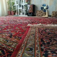 فرش دستباف|فرش|نجف‌آباد, حومه نجف آباد|دیوار