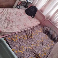 تخت تک نفره چوب