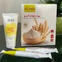 جوانه گندم