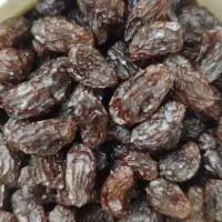 فروش کشمش