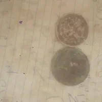 سکه